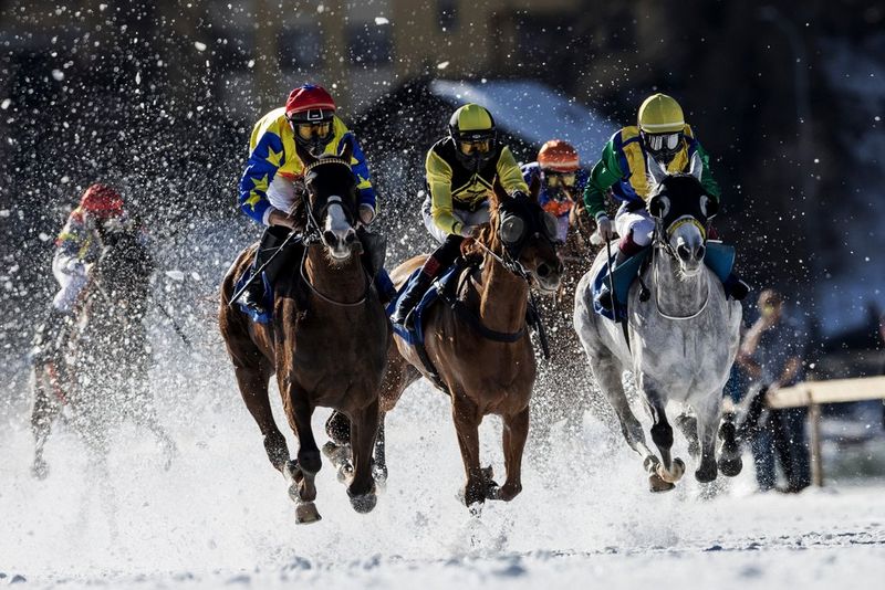 Les coureurs d'une course de chevaux galopent vers l'appareil photo sur une piste enneigée dans un cliché prise par Richard Walch avec un Canon EOS R3.