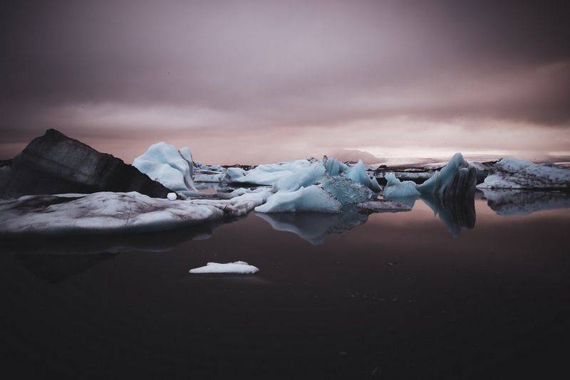 Icy glaciers float in a lagoon. The sky and water are tinted a pink-purple colour by the long sunset.