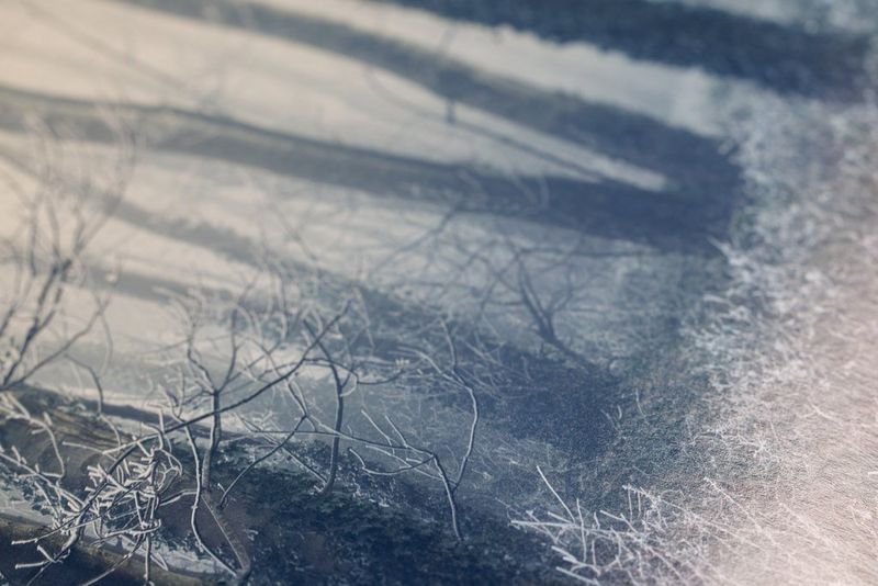 A close-up of a print of a wood in winter, showing the delicate texture of the glossy paper and ink. 