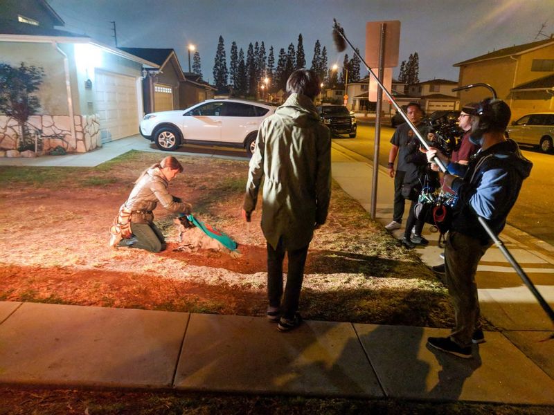 A film crew shoot using a Canon EOS C500 handheld, as a woman kneels in a front yard at night.