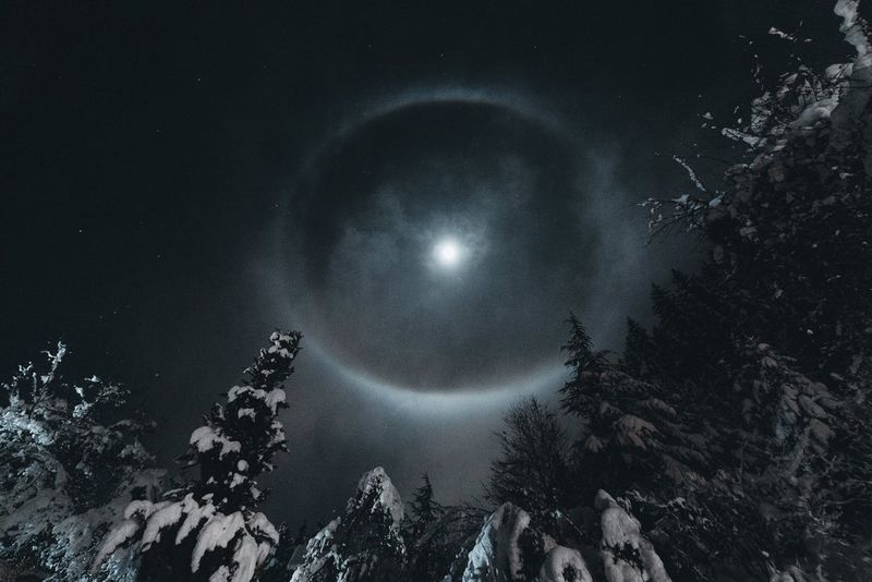La luna, con un alone di luce circolare tutto intorno, splende sugli alberi coperti dalla neve. Scatto realizzato con Canon EOS R3 da Teddy Morellec.