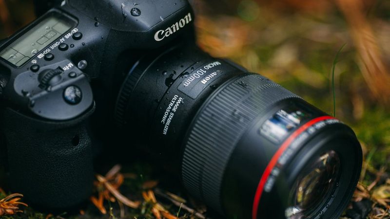 A Canon camera with a Canon EF 100mm f/2.8L Macro IS USM lens. 