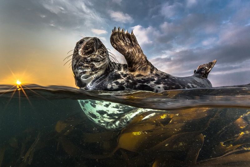 My toughest wildlife shoot