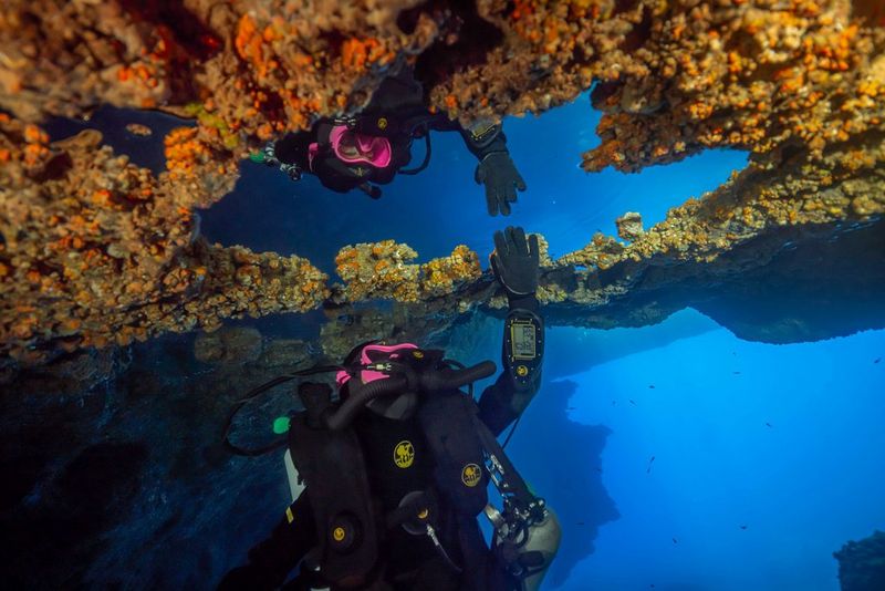 Un sub si sporge verso il proprio riflesso, circondato da coralli e piante marine.