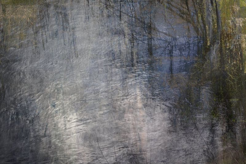 The surface of a pond with ripples and reflections in the water, and foliage around the edges.