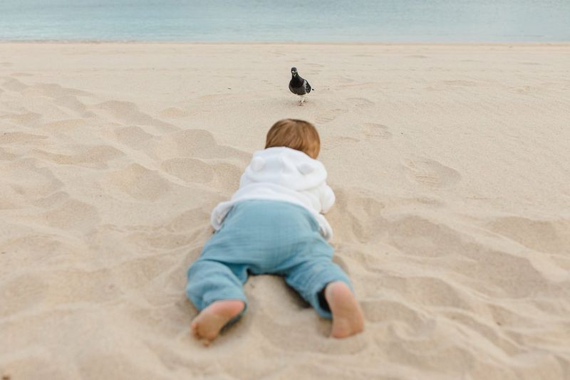 A photo taken by Marisa Martins showing a child viewed from behind, lying on sand and facing a pigeon, with a body of water visible in the background. 