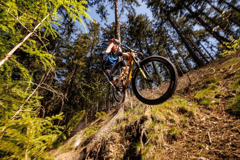 A view from below as a cyclist jumps on a bike with treetops soaring above.