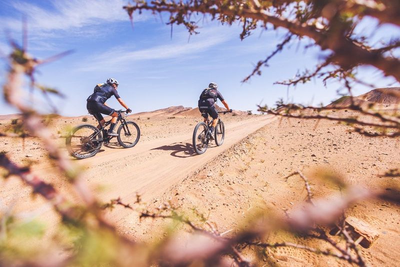 Two cyclists are framed in motion by the branches of a tree 