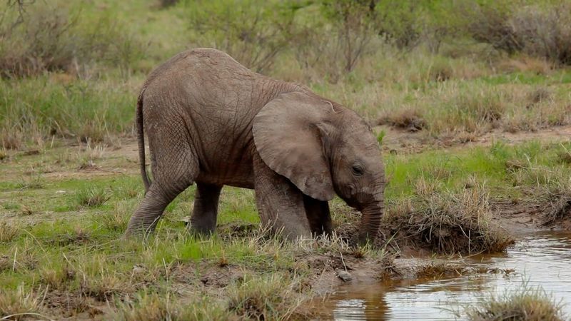 See No Limits_Nina Constable