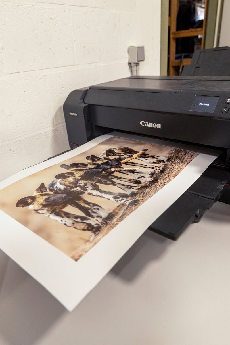 A print of a pack of African wild dogs by Timo Beke resting on the output tray of a Canon imagePROGRAF PRO-1100 A2 printer.