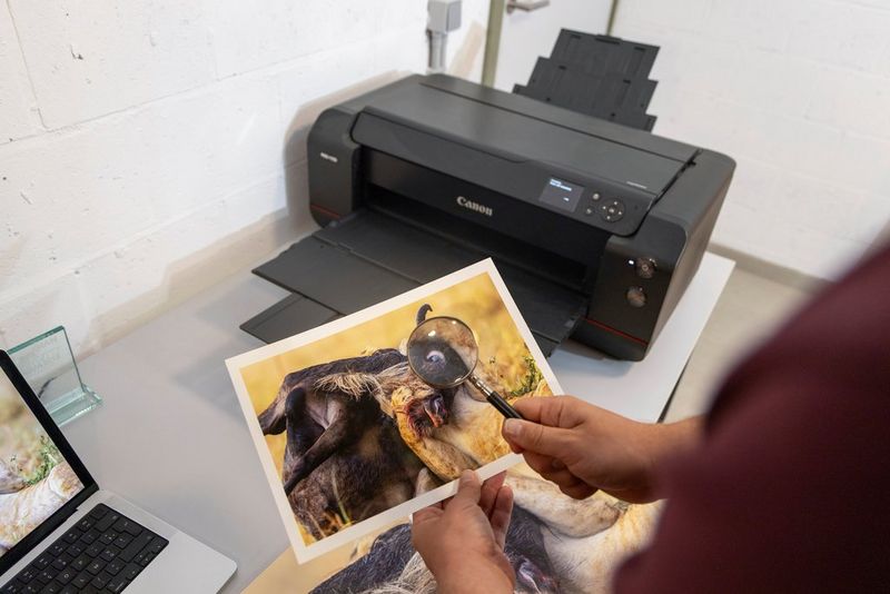Timo Beke uses a magnifying glass to inspect an A4 photo print of his dramatic, award-wining photo of a lion and a wildebeest.
