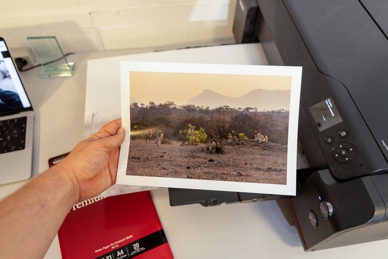 Making wildlife photography pay with print
