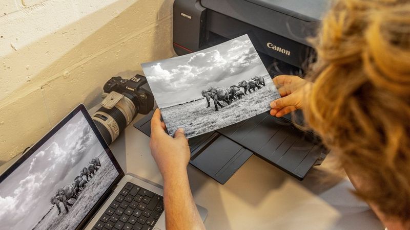Wildlifefotografie laten renderen met prints