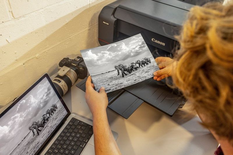 Timo Beke holds a black-and-white print of elephants next to his Canon imagePROGRAF PRO-1100 printer.