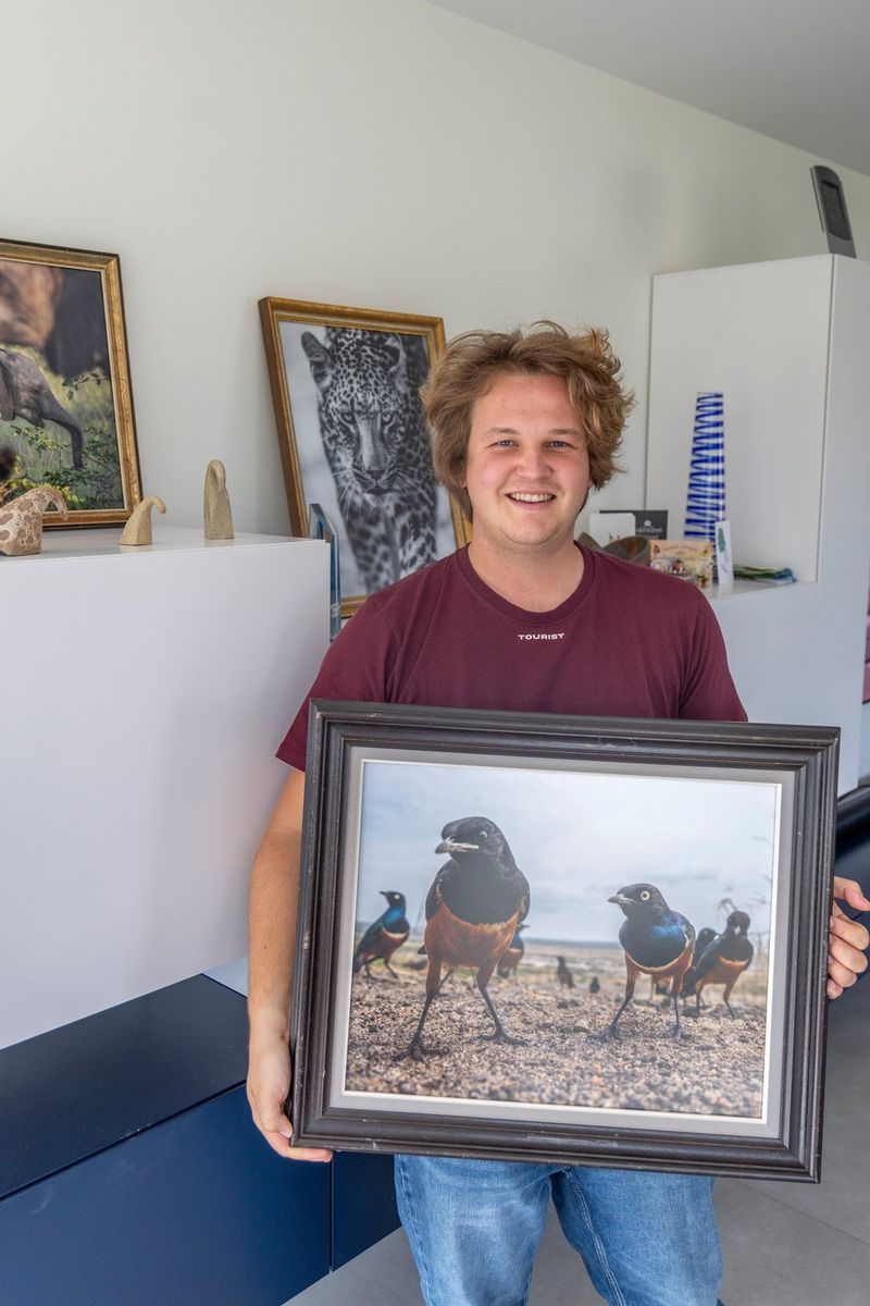 Wildlife photographer Timo Beke holds a framed print of one of his photos of characterful Superb Starlings.