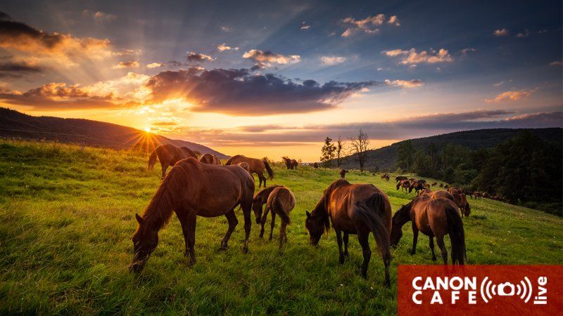 Canon Café LIVE: Świat fotografii krajobrazowej.