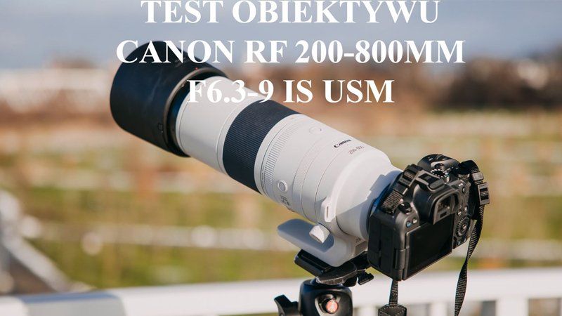 Test obiektywu canon RF 200-800mm F6.3-9 IS USM