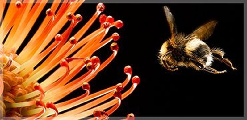 
       
       
       Высококачественные принтеры
     
     
     