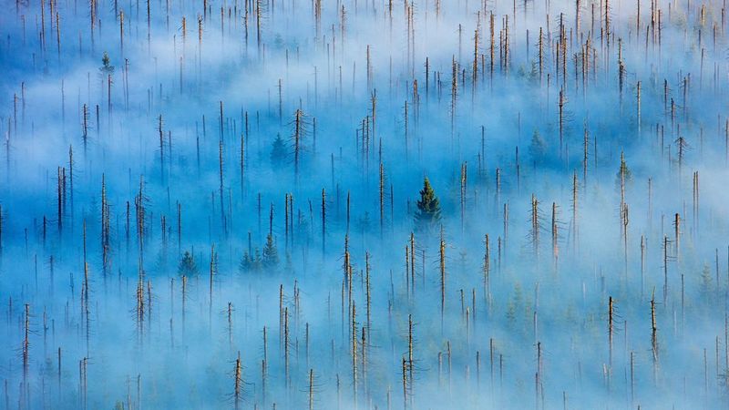 What you don’t see