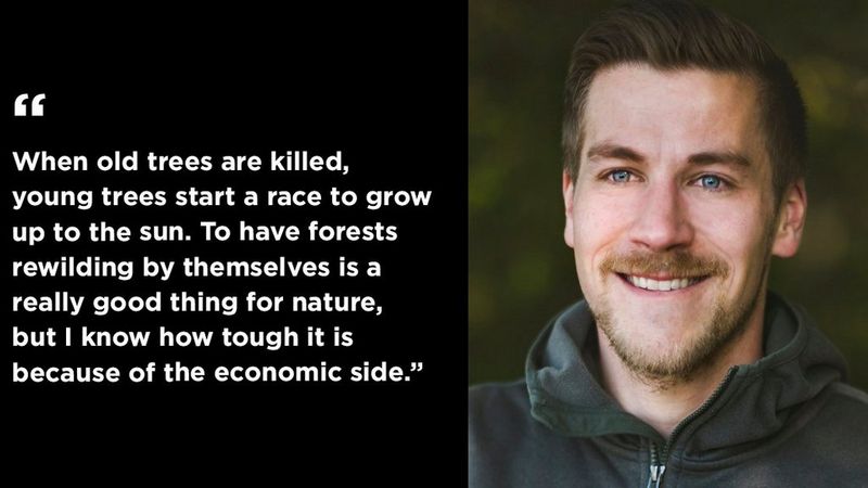 On the right, a portrait of Radomir Jakubowski, smiling with a hint of the woods in the background. On the left, a quote that reads, “When trees are killed, they start a race to grow up to the sun. To have forests rewilding by themselves is a really good thing for nature, but I know how tough it is because of the economic side."