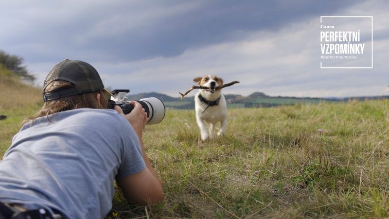 Focení přírody a domácích mazlíčků podle Martina Raka