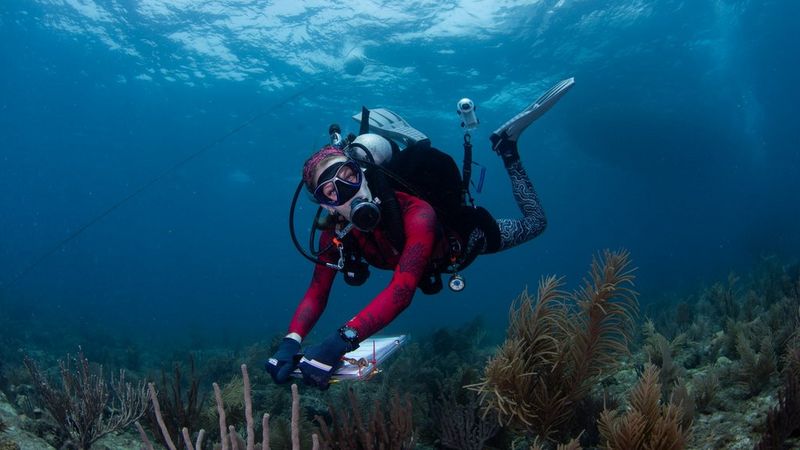 Devon swims underwater near the sea floor while holding an underwater writing slate.