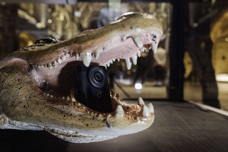 Canon PowerShot V10 alloggiata nella bocca di un coccodrillo nel Natural History Museum di Londra.