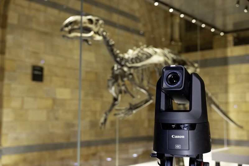 Una telecamera PTZ Canon CR-N700 posta davanti allo scheletro di un dinosauro conservato in una teca di vetro.