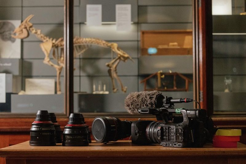 Videocamere e obiettivi Canon posizionati su un tavolo di fronte a una teca di vetro che contiene lo scheletro di un animale, nel Natural History Museum, a Londra.