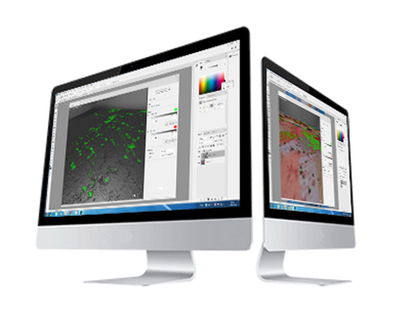 Display Graphics Application Software