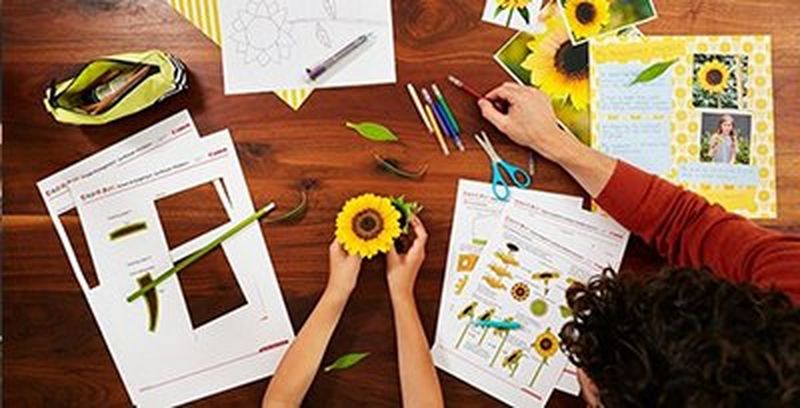 Father and child doing print craft on the kitchen table Always supply at least one related article