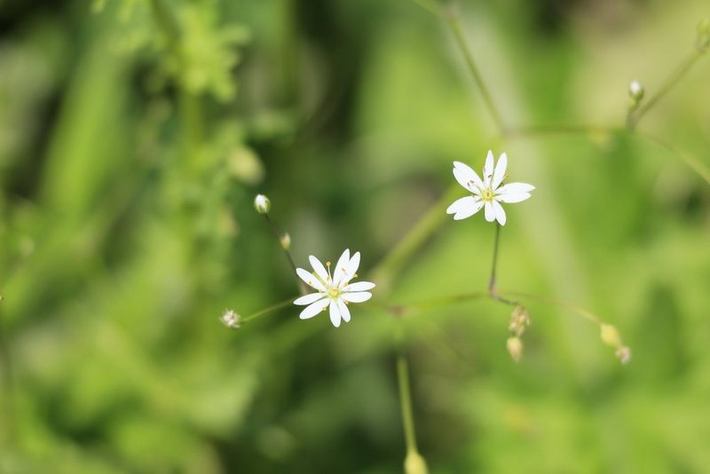 Discover Hidden Details