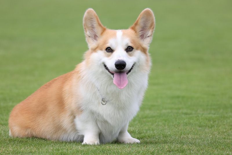 More Creative Control