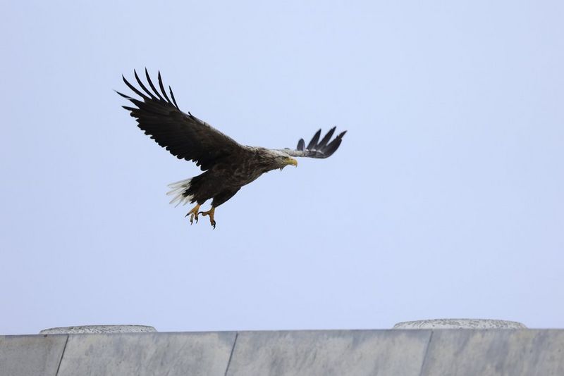Mimoriadne ostrý a vysoko stabilný