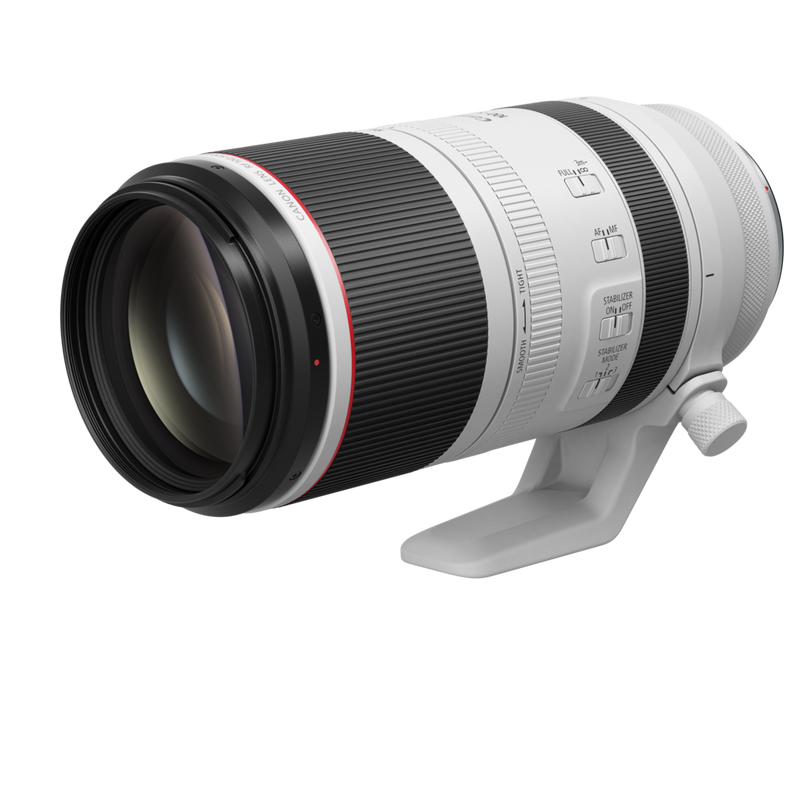 Canon RF 100-500MM F4.5-7.1 L IS USM