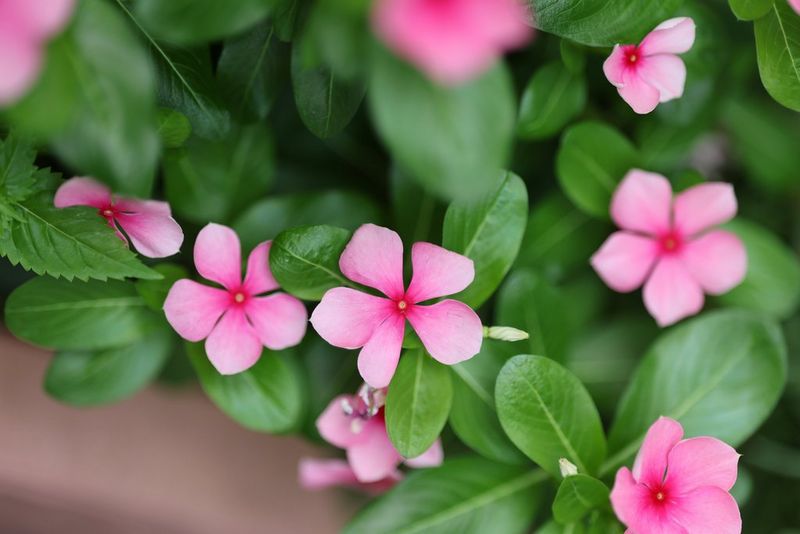 Strong, silent, dependable