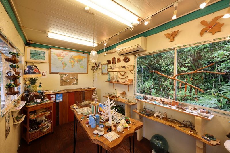 שליטה אינטואיטיבית לצילום הרגע