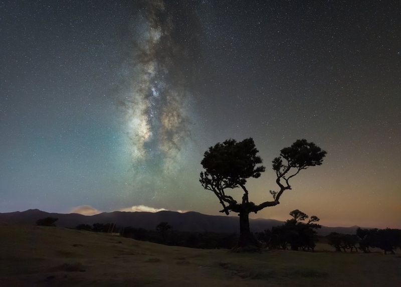 Canon Club wide - angle nights challenge