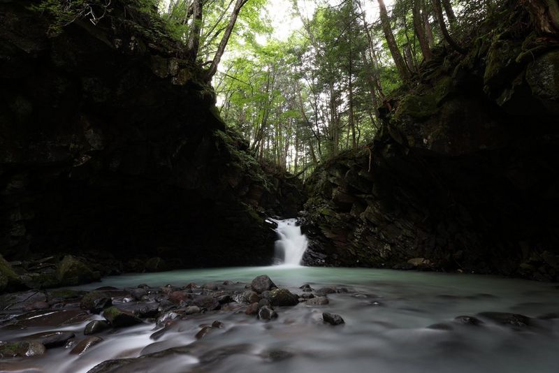 Una tranquilla scena forestale, fotografata da un'angolazione bassa con un obiettivo Canon RF 16-28MM F2.8 IS STM, con una piccola cascata che si riversa in una tranquilla pozza circondata da terreno roccioso e alberi che svettano nel cielo.