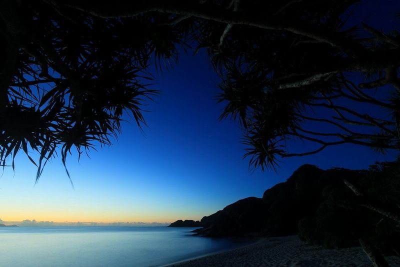 A rocky beach framed by silhouetted trees taken in low light, with the glow of the horizon in the distance.