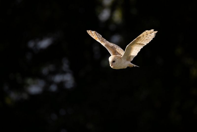Snímajte aj vpremenlivých podmienkach