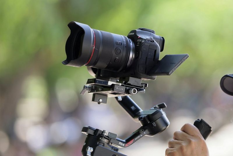 Short film and documentary