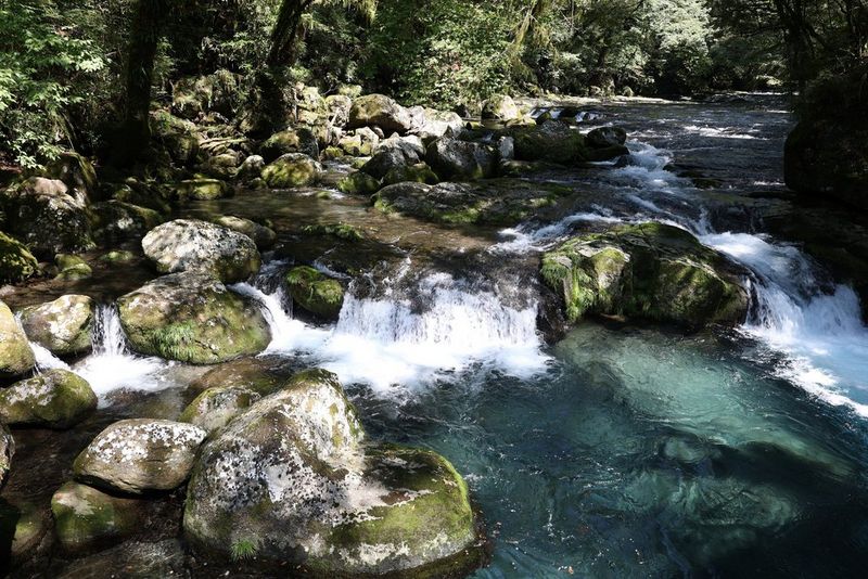 Op een Canon EOS R8 wordt vastgelegd hoe in een bos water over mossige rotsen stroomt en zo meerdere watervallen vormt.