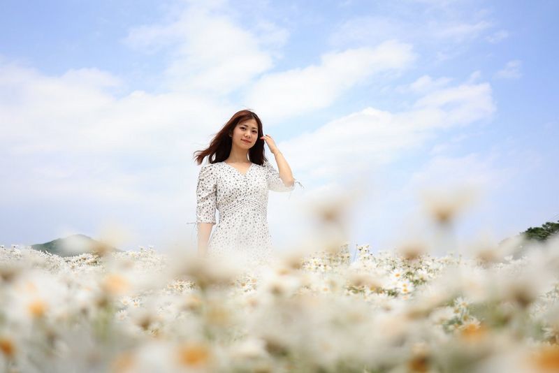 Canon RF 24mm F1.8 Macro IS STM Lens Review
