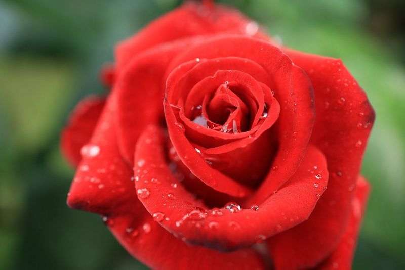 התקרב והצג סצנה מלאה