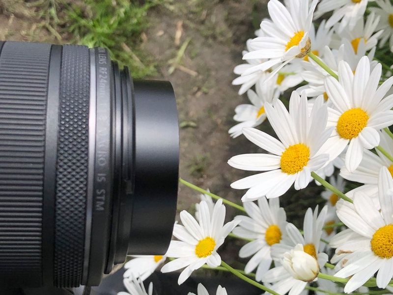 A Canon RF 24mm F1.8 MACRO IS STM lens close by a clump of daisies.