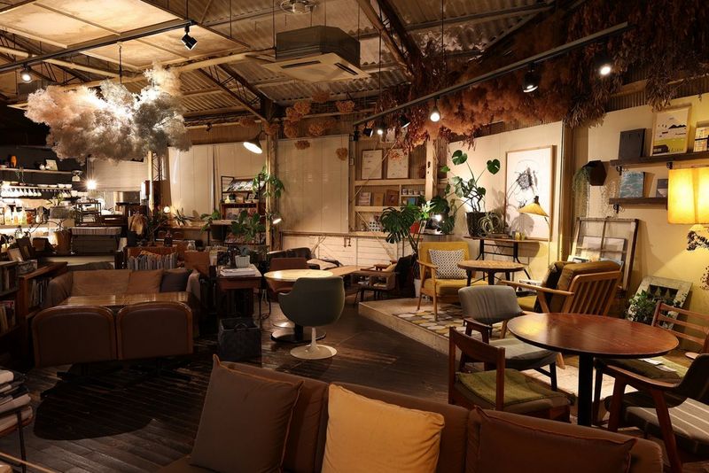 The rustic interior of a cosy bar furnished with sofas and wooden tables and chairs in shades of brown, yellow and green, and decorated with lamps and potted plants.