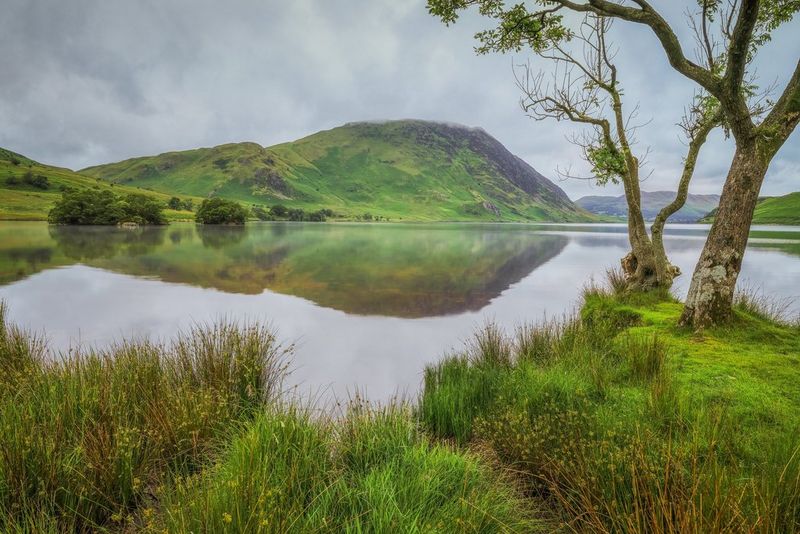 Un lago con un albero in primo piano e le montagne sullo sfondo riflesse sulla superficie dell'acqua.