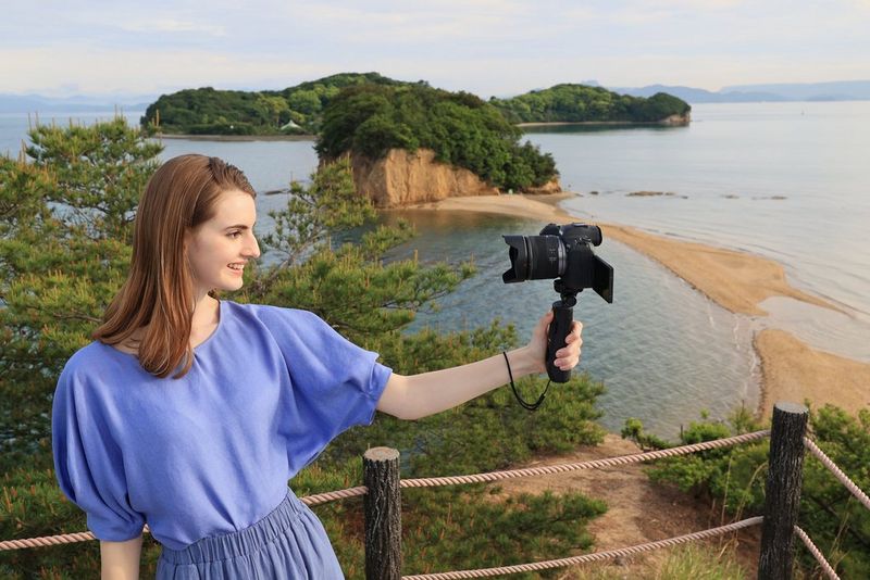 ולוגים מגוונים