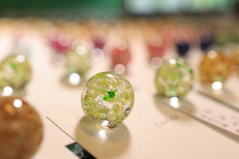 מאקרו מרהיב